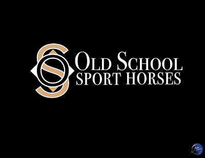 Old School Sport Horses brand identity brand strategy branding design graphic design logo typography