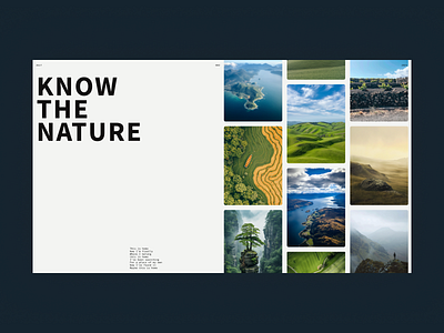 KNOW THE NATURE // artdirection concept design digitaldesign experiment figma landingpage layout ui uidesign uiux visualdesign