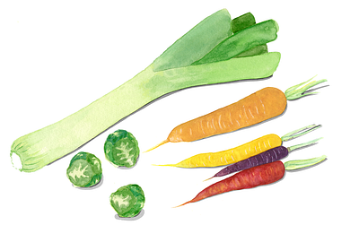 Vegetables design graphic design illustration
