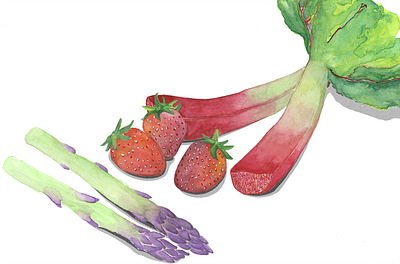 Vegetables and Fruit design graphic design illustration