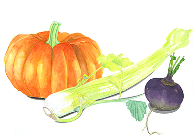 Pumpkin and Autumn Vegetables design graphic design illustration watercolor