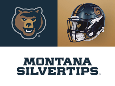 22/32 – Montana Silvertips bear branding design football graphic deisgn grizzly illustration logo montana sports sports branding typography