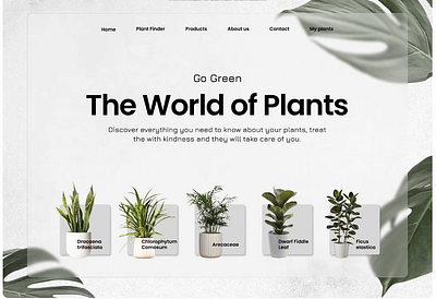 The World Of Plants 3d