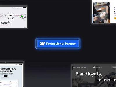 Webflow Professional Partner ui ux web web design webflow