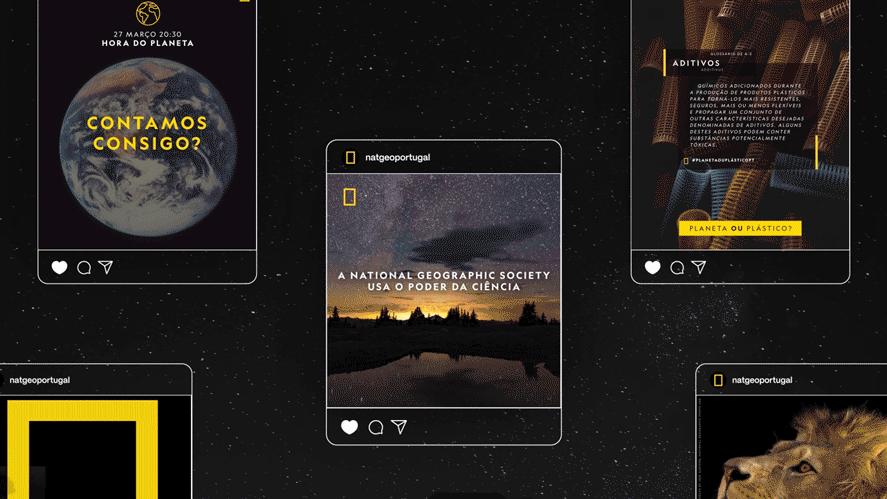 Social Media - National Geographic Portugal after effects animation black design facebook geographic instagram media motion national portugal posts social social media