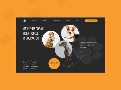 Concept Dog training concept design ui web