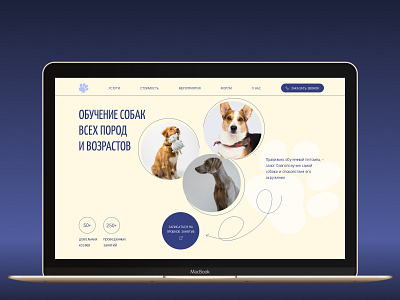 Concept Dog Training concept design ui web