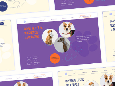 Web design for the site dedicated to dog training concept design ui web