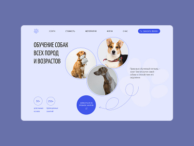 UI/UX design the site dedicated to dog training concept design ui ux web