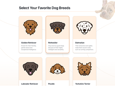 Dog Adoption App Card Concept app icons branding icon design iconography icons iconset illustration interface design mobile app product design ui ui design uiux user experience ux design visual design web app