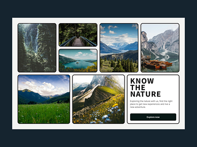 KNOW THE NATURE /// artdirection bento concept design digitaldesign experiment landingpage layout ui uidesign uiux visualdesign