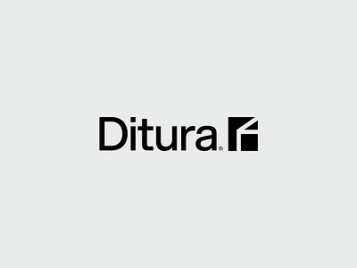 Ditura® Logo architect logo branding construction brand construction branding construction identity construction logo design graphic design identity design logo logo design logomark vector visual identity
