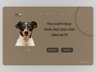 Dog Rescue Website breed consulting desktop dog donation freelance graphic design hire me prototype rescue startup street ui ui design user experience user interface ux ux design website work for me