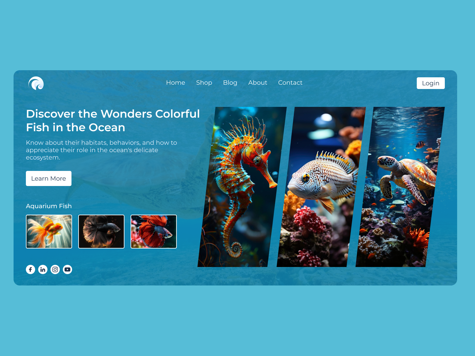 Sea Fish Website Templates by Rumi Aktar on Dribbble