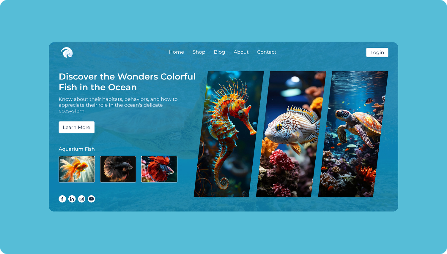 Sea Fish Website Templates by Rumi Aktar on Dribbble