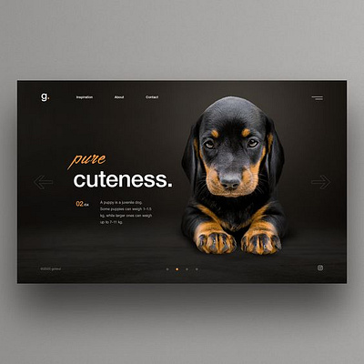 Dog_Business_Web