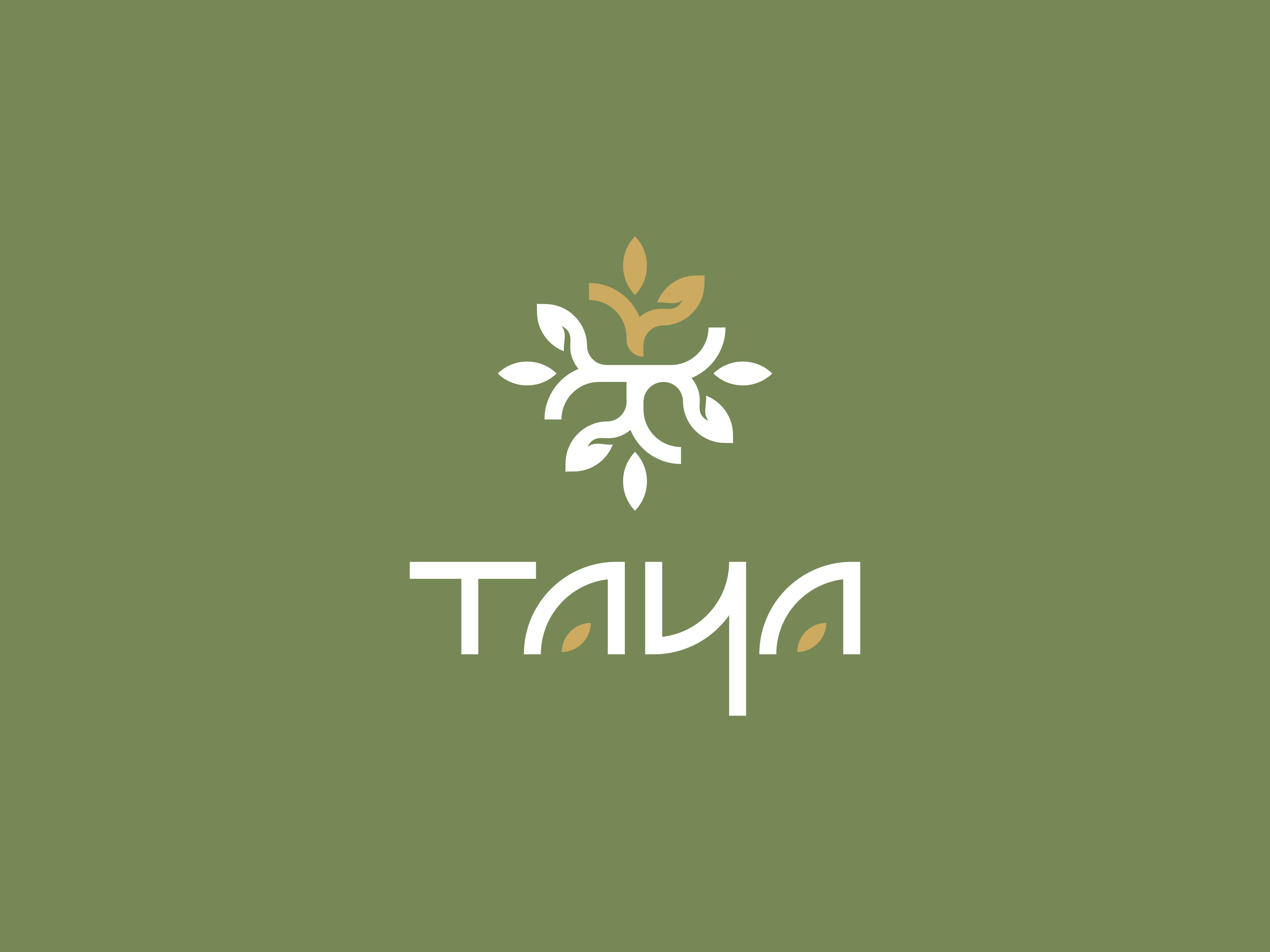 Example of Professional Logo Design