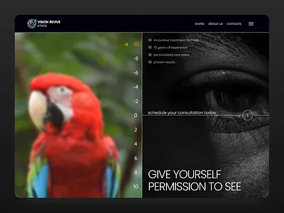 UI/UX Design Concept for a Vision Correction Clinic Website animal animation book consultstion branding clinic design eye figma hospital pop up site ui ui design ux video vision clinic web design website