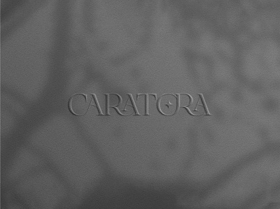 Caratora Jewellery Brand Logo Design logo