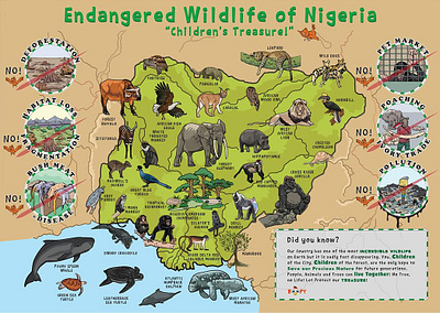 Wildlife of Nigeria illustrated Map cartoon map ecartoongrafix ecartoonman fun maps illustrated map nigeria map richard peter david vector illustration wildlife maps