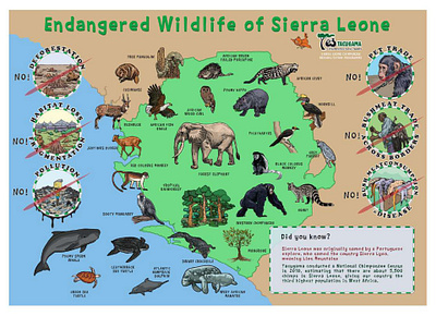 Wildlife of Sierra Leone illustrated Map cartoon maps ecartoongrafix ecartoonman fun maps illustrated maps