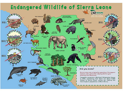 Wildlife of Sierra Leone illustrated Map cartoon maps ecartoongrafix ecartoonman fun maps illustrated maps