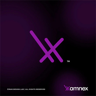 Amnex Brand Identity branding graphic design logo ui