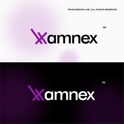 Amnex Brand Identity branding graphic design logo ui