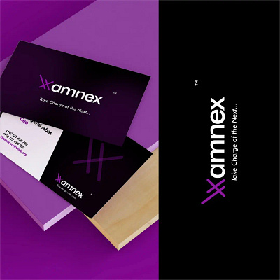 Amnex Brand Identity branding graphic design logo ui