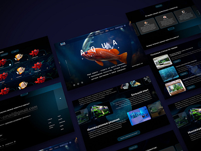 Web aqua. design graphic design ui ux