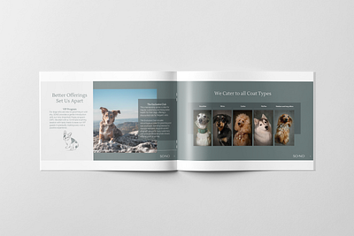 Dog Grooming Pitch Deck - Design & Writing branding brochure content copywriting design dog grooming dogs funding graphic design investors nordic pitch deck powerpoint presentation startup writing