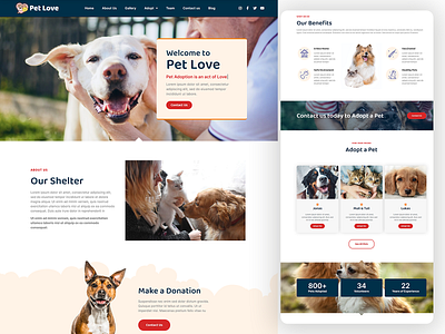 Pet Website Design 🐾 animal cat design dog pet pets shelter website