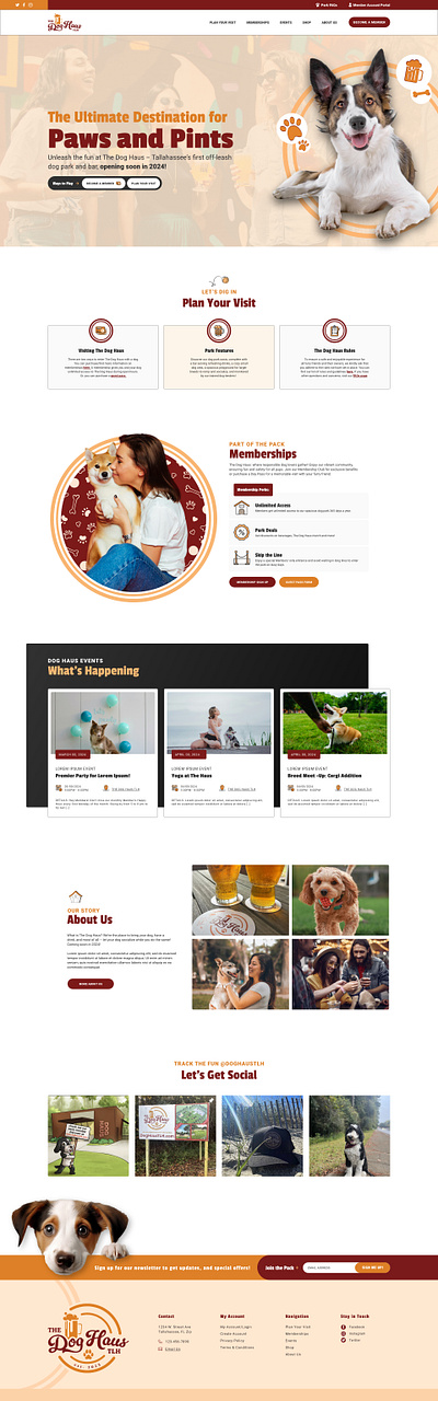 The Dog Haus Website Design graphic design website design