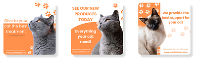 Designs for Cat Shop Social Media branding design graphic design