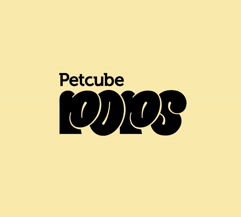 Petcube Pops animation branding logo