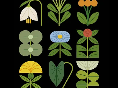 Fun animation 🌷🥀🪻 2d animation flowers illustration motion graphics