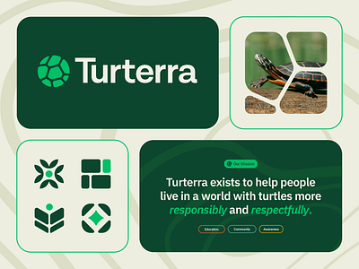 Turterra animal app art direction branding community education green icon iconography logo logomark minimal natural nature outdoor photography shell species turtle web