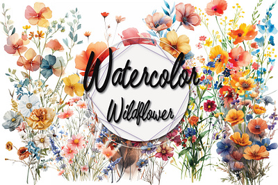 Watercolor wildflower - High quality, transparent background graphic design high quality transparent background watercolor wildflower