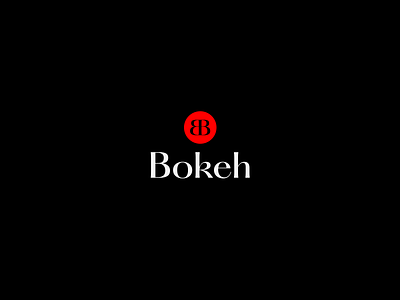 Bokeh logotype brand branding graphic design icon illustration logo typography vector
