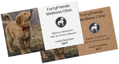 FurryFriends Wellness branding graphic design illustration product design vet visit card