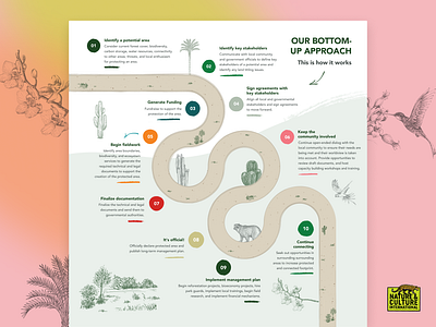Infographic - Nature and Culture International branding charity design design infographic foundation illustration infographic nature non profit nonprofit nonprofit infographic nonprofit website design