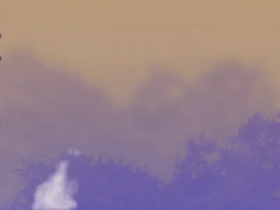 Birds 2d 2d animation 2d art animation artist concept art design digital digital art digital artist illustration mixed media motion graphics vector