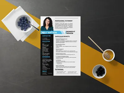 I Will Provide Professional Resume Writing Serveice. app design arts crafts bilboard design brochure design business card stationary check list convert files cover letter invoice menu design news letter photo manipulation presentation design price list product image editing productive flyer productive magazine resume design t shirts merchandls website design