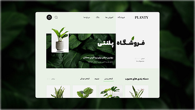 E-commerce Website Design "Planty" graphic design ui