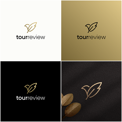 Tourreview Logo Design background