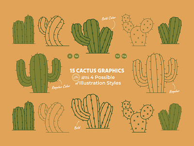 Cacti / Cactus Line Illustration Graphics cacti cactus desert graphics illustration leaves line nature objects outline plant retro vector vintage