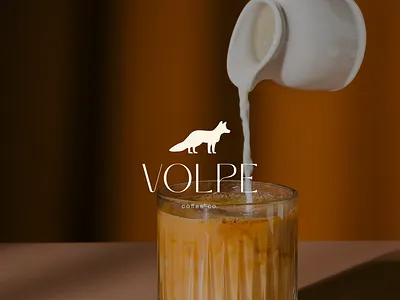 Volpe brand design branding graphic design logo visual identity