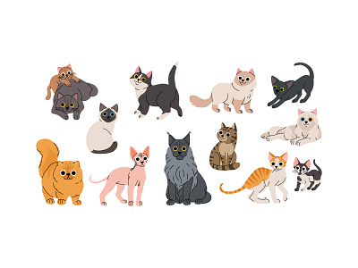 Cat breeds set animal breed cartoon cat character concept design flat illustration kitten pet set various vector