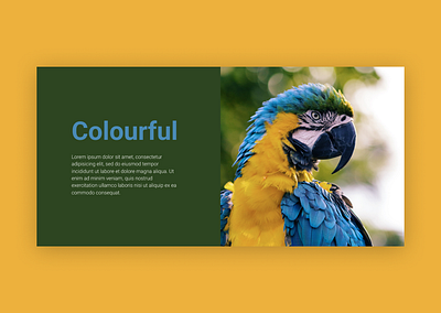 Sampling Colors UI app dailyui design sampling colors ui ui design ux ux design website design