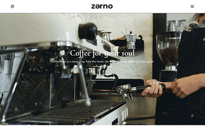 Zerno design development website